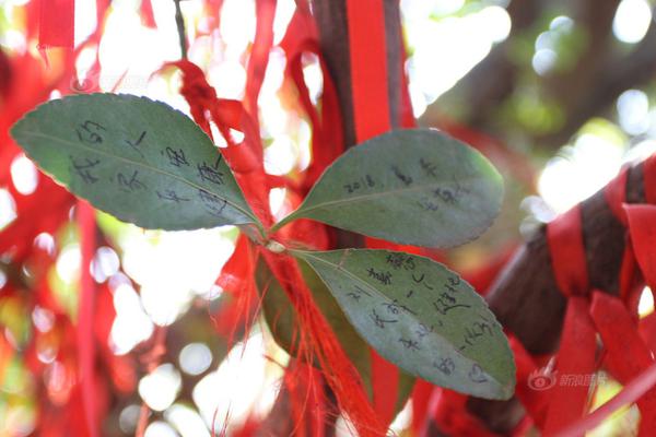 电影《泡芙小姐》发“闪婚”预告  张歆艺王栎鑫解锁爱情新姿势