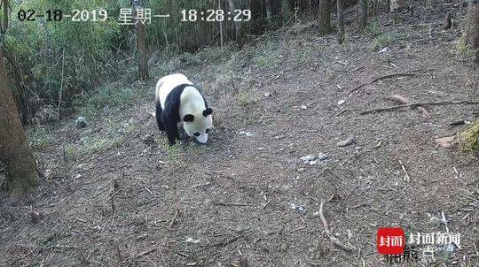 苏凉意陌千宸小说 唐欣沈令乾章节在线阅读