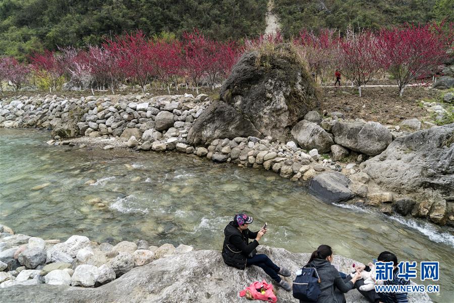 【娱乐看点】《死亡笔记》l松山研一爱上种田  39岁生活状态曝光