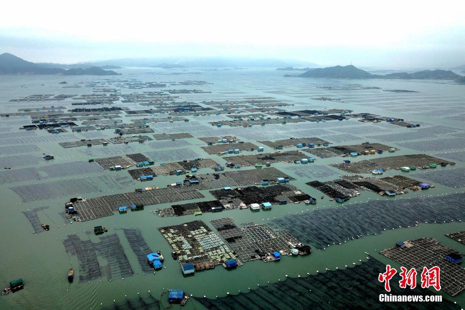 殷知意涂西洲殷知意涂西洲目录_殷知意涂西洲阅读